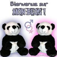 bienvenus sur mon blog